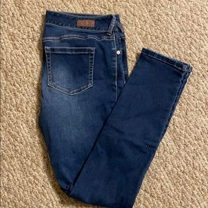 Vanity Curvy Skinny Jeans